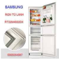 Ron cửa tủ lạnh Samsung Model RT22M4032DX