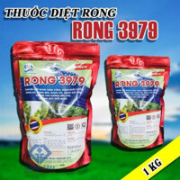 RONG 3979- HẠN CHẾ RONG THÂN CỨNG, RONG ĐUÔI CHỒN, RONG ĐÁ, RONG BÚN, RONG HÔI, RONG MẮT TRE