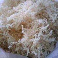 Rong sụn khô 1 nở 7 (500g)