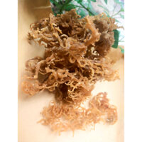 Rong Sụn Sứ Khô KHÔNG TẨY KHÔNG MUỐI