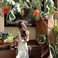 Roseraie Đi Biển Phong Cách Kỳ Nghỉ Tính Khí Tay Bay Đầm Hoa Nữ