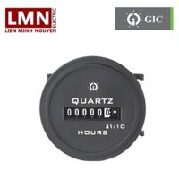 Round Bezel (Hour Meter) 10-80 VDC GIC LD13F1