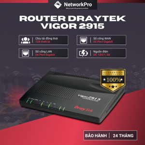 Router Draytek Vigor2915