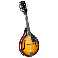 Rover RM-25S Student A-Model Mandolin - Sunburst