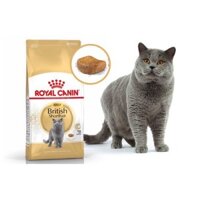 Royal Canin British Shorthair Adult 2kg hạt khô thức ăn cho mèo anh lông ngắn lớn hơn 12 tháng tuổi sản xuất tại pháp