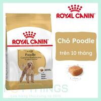 Royal Canin Chihuahua Adult Thức Ăn Hạt Cho Chó Chihuahua Trưởng Thành