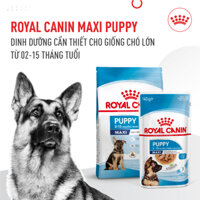 Royal Canin maxi puppy 10kg hạt khô thức ăn cho chó con dưới 15 tháng tuổi sản xuất tại pháp