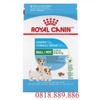 Royal Canin Mini Starter – Mother & Babydog