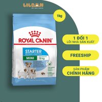 ROYAL CANIN Mini Starter Mother&Babydog - Thức Ăn Hạt Khô Dành Cho Chó Mẹ và Chó Con