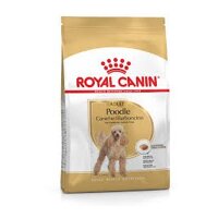 ROYAL CANIN POODLE ADULT – THỨC ĂN CHO CHÓ POODLE TRƯỞNG THÀNH (BỊCH 500G)