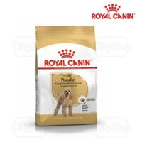 royal canin poodle adult hạt cho chó túi 1,5kg