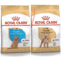 ROYAL CANIN POODLE ADULT/PUPPY - thức ăn chó poodle