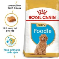 Royal Canin poodle puppy cho chó Poodle nhỏ