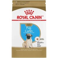 Royal Canin Pug Puppy