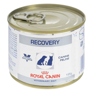 Royal Canin Recovery 195g