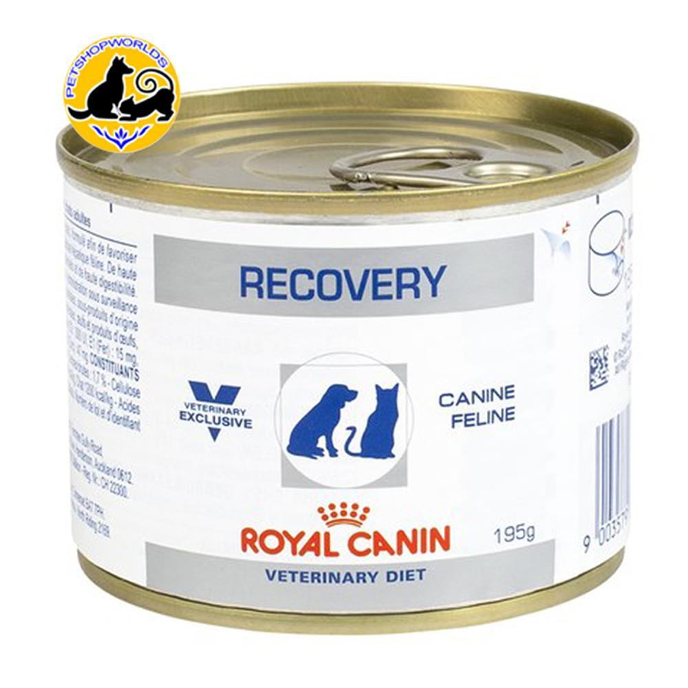 Royal Canin Recovery 195g