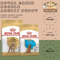 Royal Canin / Thức ăn dành cho chó Poodle - Royal Canin Poodle Adult & Junior