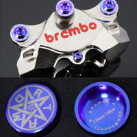 Rtamo Titan Gr5 Piston Brembo 2P CNC 2P