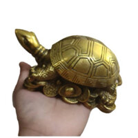 Rùa Bằng Đồng Phong Thuỷ Rùa Trấn Trạch Bằng Đồng Nguyên Chất