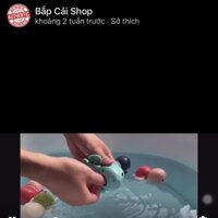 Rùa bơi trong nước