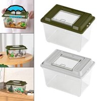 Rùa Bồn Tắm Nhỏ Hộp Đựng Động Vật lưỡng cư Hộp Sinh Sản Bình Đựng Thức Ăn Cho Ếch Cua Bò Sát Nhỏ