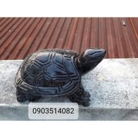 Rùa đá đen size trung 15cm