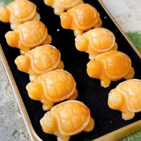 Rùa đa long qui ngoc hoàng long 6cm sdep