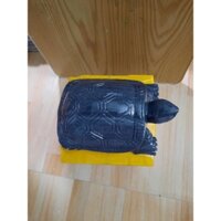 Rùa đá màu đen size 20