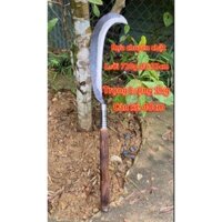 Rựa Đại Chặt Cây To Lưỡi 720gr, Khâu Inox - Lò Rèn Tuấn QNam - Thép Nhíp Loại 1,Cán Gỗ Tốt -Bảo Hành