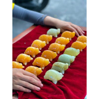 Rùa hoàng long kim quy rùa phong thuỷ trấn trạch đẹp dài 8cm 10cm 12cm 15cm