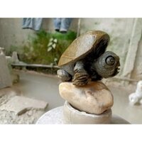 Rùa Phong Thuỷ - Kim Quy | Tượng Rùa Mini Để Bàn May Mắn Tài Lộc RĐPT