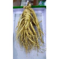 [Rữa Sạch Tráng Rượu] Tách Lẻ 1 củ  Nhân Sâm Tươi Hàn Quốc .