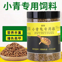 Rùa Xanh Nhỏ Thức Ăn Vàng Họng Anhui Vàng Nam Ba Vàng Bắc Loài Đá Rùa Bán Nước Rùa Canxi Cao Tăng Màu