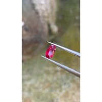 RUBY (Facet) 0.51 Ct TỰ NHIÊN 100% (Lục Yên - VN)