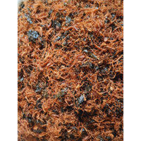 ruốc chân nấm rong biển 500g -1kg