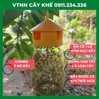 Ruồi Vàng - Bẫy Ruồi Vàng Có Thuốc Dẫn Dụ Ruồi Vàng, Thuốc Ruồi Vàng - Combo 3 bộ