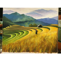 Ruộng Bậc Thang -  Tranh Sơn Dầu Vẽ Tay 40x50cm
