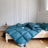 Ruột chăn cao cấp ruột lõi mền lông vũ thu đông mềm mại siêu nhẹ siêu ấm