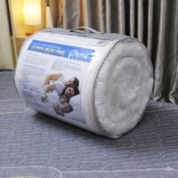 Ruột chăn đông cao cấp Olympia Micro Fiber