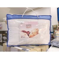 Ruột chăn đông Hanvico TCM 150*210 & 200*220