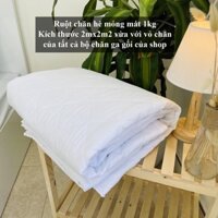 Ruột Chăn Đông Và Ruột Chăn Hè Thu Bông Siêu Nhẹ Siêu Ấm Màu Trắng Size 2mx2m2 Hàng VNXK