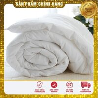 Ruột Chăn Edena [ CHÍNH HÃNG ] Kích Thước 200x220 cm, Bảo Hành Một Đổi Một