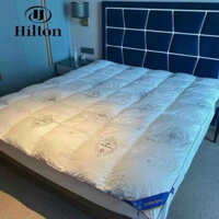 Ruột chăn Hilton lông vũ siêu ấm , Mền lông vũ Hilton siêu nhẹ nhập khẩu nguyên chiếc