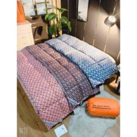 Ruột Chăn Lông Vũ Burberry siêu nhẹ thoáng khí - Tổng Kho Ga Gối AMA