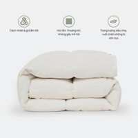 Ruột chăn lông vũ Everon (kích thước 200x220, Lông vũ 100%) (DW)