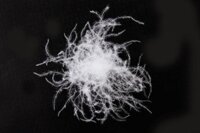 Ruột Chăn Lông Vũ Everon