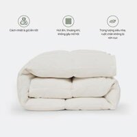 Ruột chăn lông vũ Everon