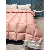 Ruột chăn lông vũ hilton siêu mền siêu nhẹ