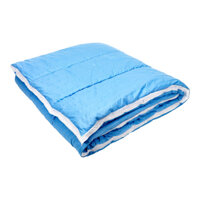 Ruột chăn | polyester | MEDAL | xanh | R200xD220cm | 800gr