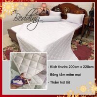 Ruột chăn 💎SALE💎 hè trần hàng cao cấp siêu nhẹ bông tấm đã sử lý kháng khuẩn kích thước 2m x 2m2 thấm hút cực tốt